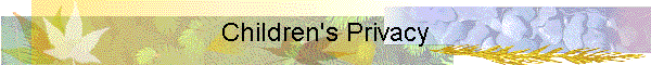 Children's Privacy