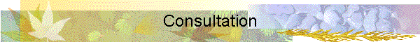 Consultation