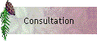 Consultation