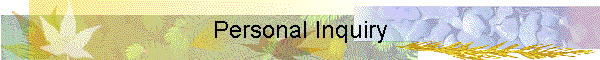 Personal Inquiry