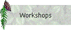 Workshops