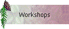 Workshops