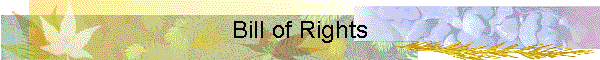 Bill of Rights