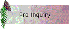 Pro Inquiry